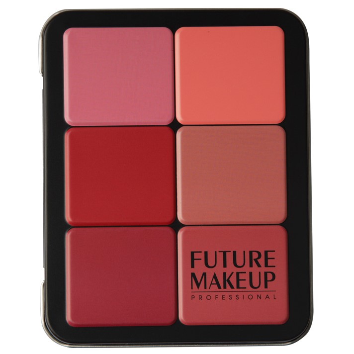 پالت کانتور و رژگونه فیوچر میکاپ